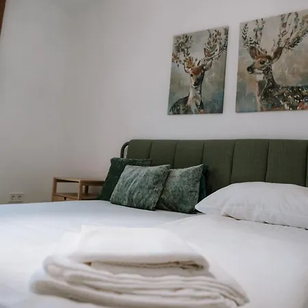 Apartment Csongor Lak *