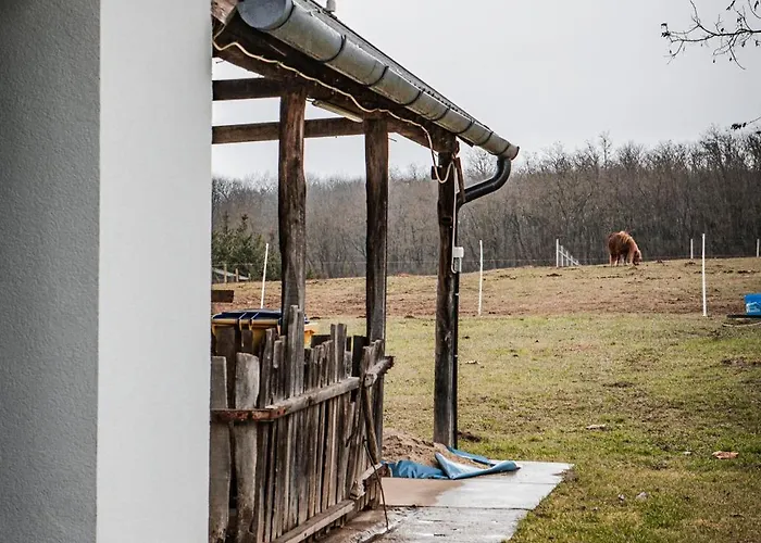 Csongor Lak Appartement